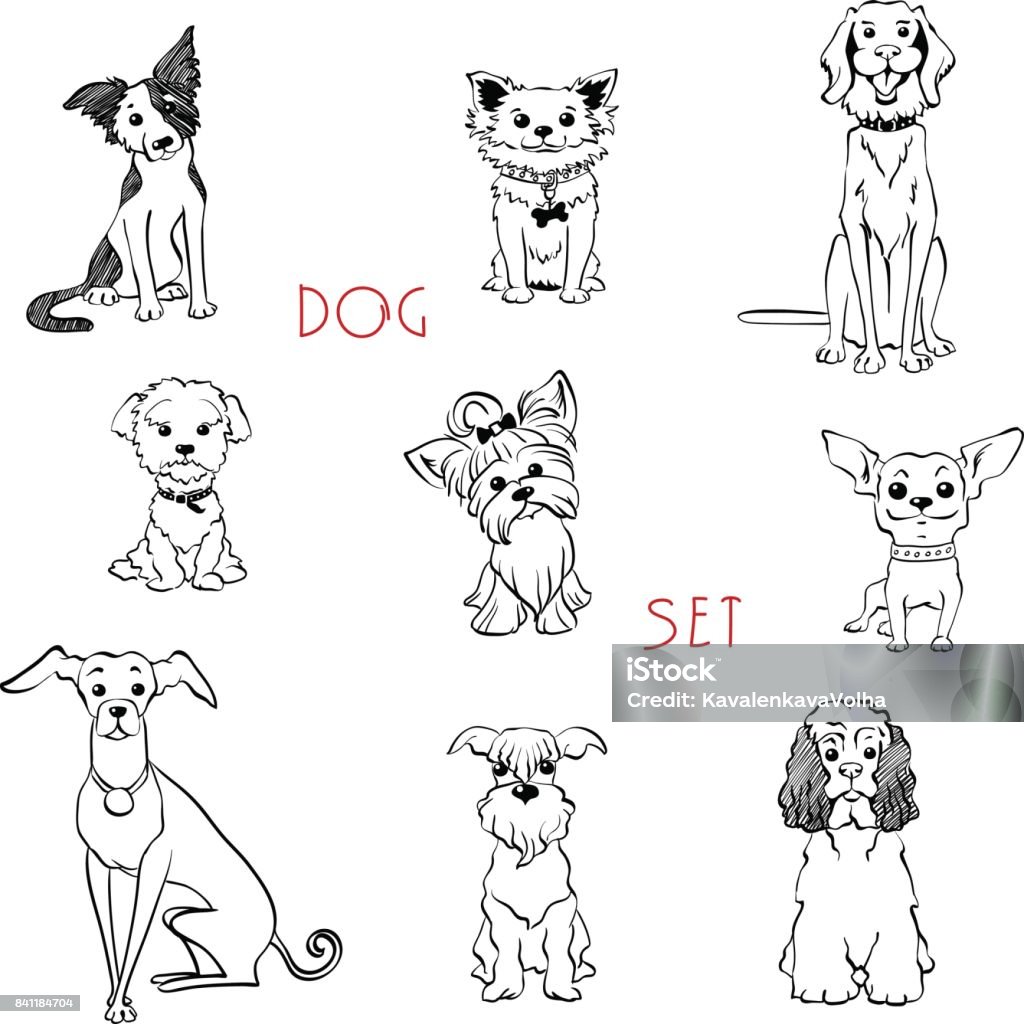 Set black and white dogs Vector set black and white dogs different breeds Dog stock vector