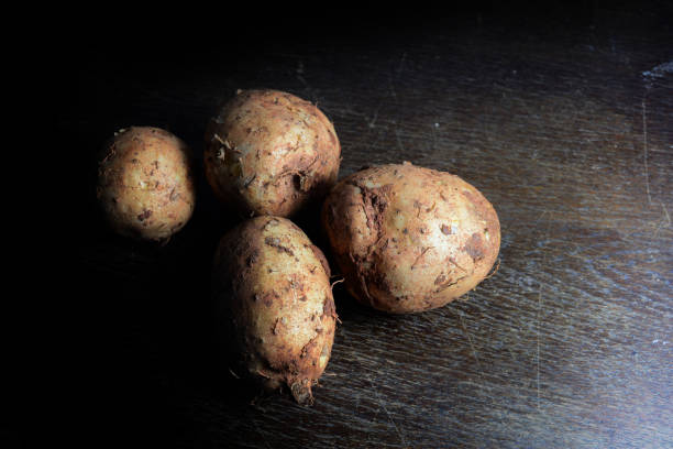 group of wild yam on wooden table with dark light background