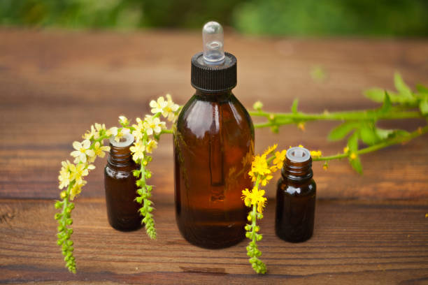 istock essential oil on table in beautiful bottle with flowers 841187956