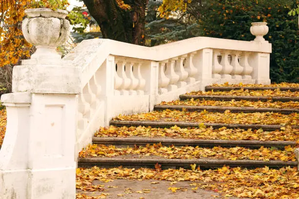 Photo of Stone staircase with fallen leaves autumn season