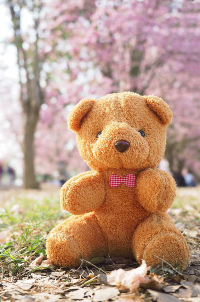 istock teddy bear in the garden 841195916