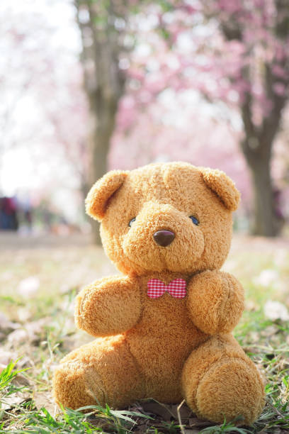istock Teddy bear in the garden 841195918