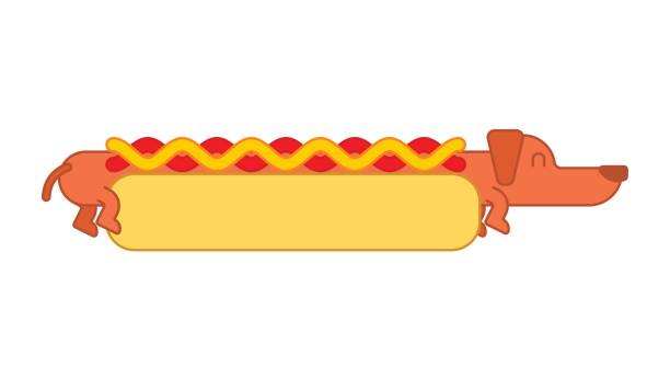 hot-dog-dackel und brötchen. ketchup und senf. fast-food-haustier - wearing hot dog costume stock-grafiken, -clipart, -cartoons und -symbole