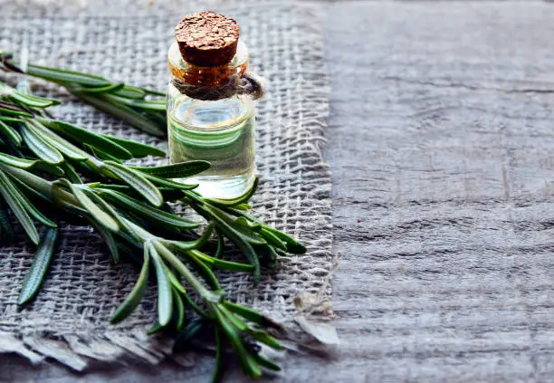 Rosemary essential oil in a glass bottle with fresh green rosemary herb on old wooden table.Rosemary oil for spa,aromatherapy and bodycare.Extract oil of rosemary.Selective focus.Copy space.