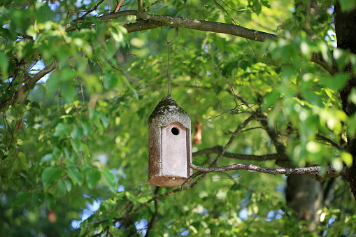 Birdhouse Stock Photo - Download Image Now - Austria, Birdhouse ...