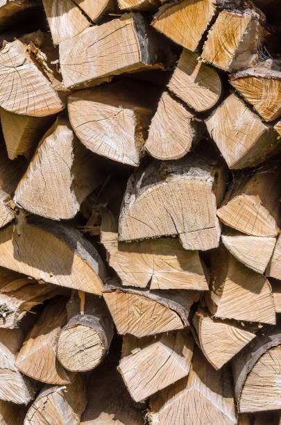 istock Splitted, dried and stacked firewood, vertical 841199672