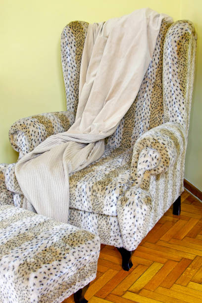 istock Safari armchair 841203698
