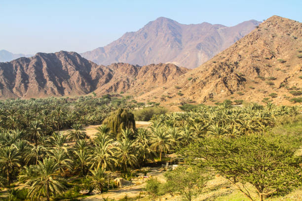 al fujairah landscape al fujairah landscape fujairah stock pictures, royalty-free photos & images