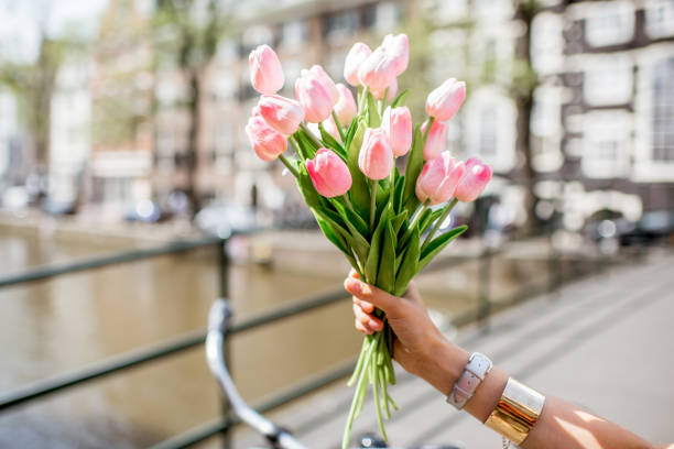 istock Holding tulips in Amsterdam 841211544