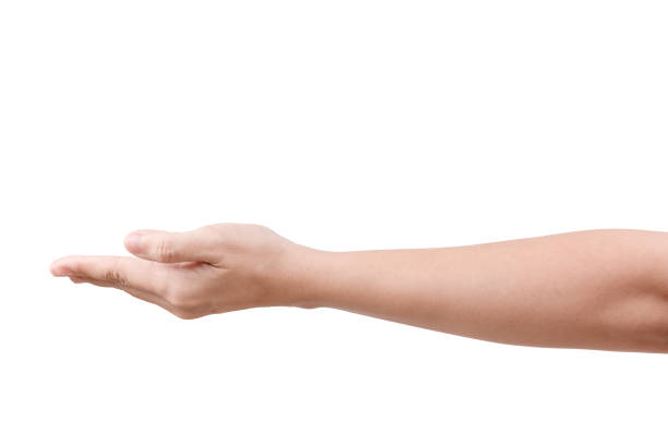 istock Woman beautiful hand holding something like a open and ready help or receive isolated on white with clipping path 841214978
