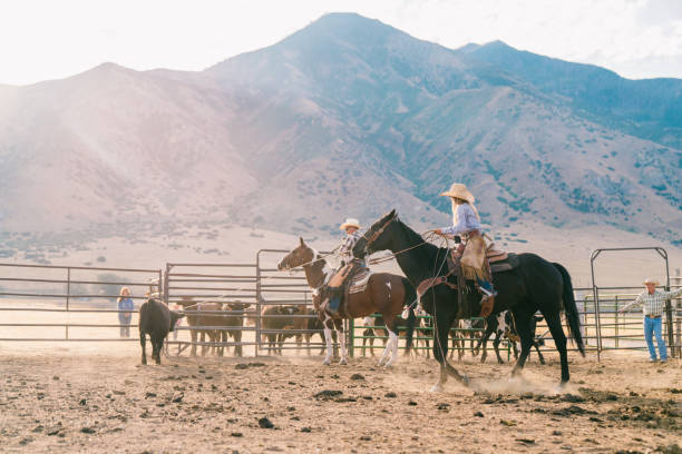 istock Cowboys roping a calf ready for branding 841218718