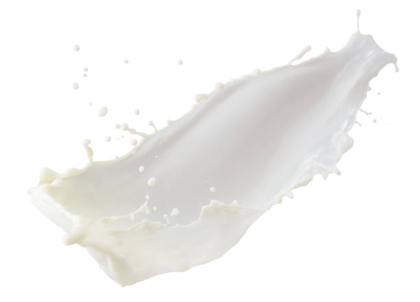 istock milk splash isolated on a white background 841218760