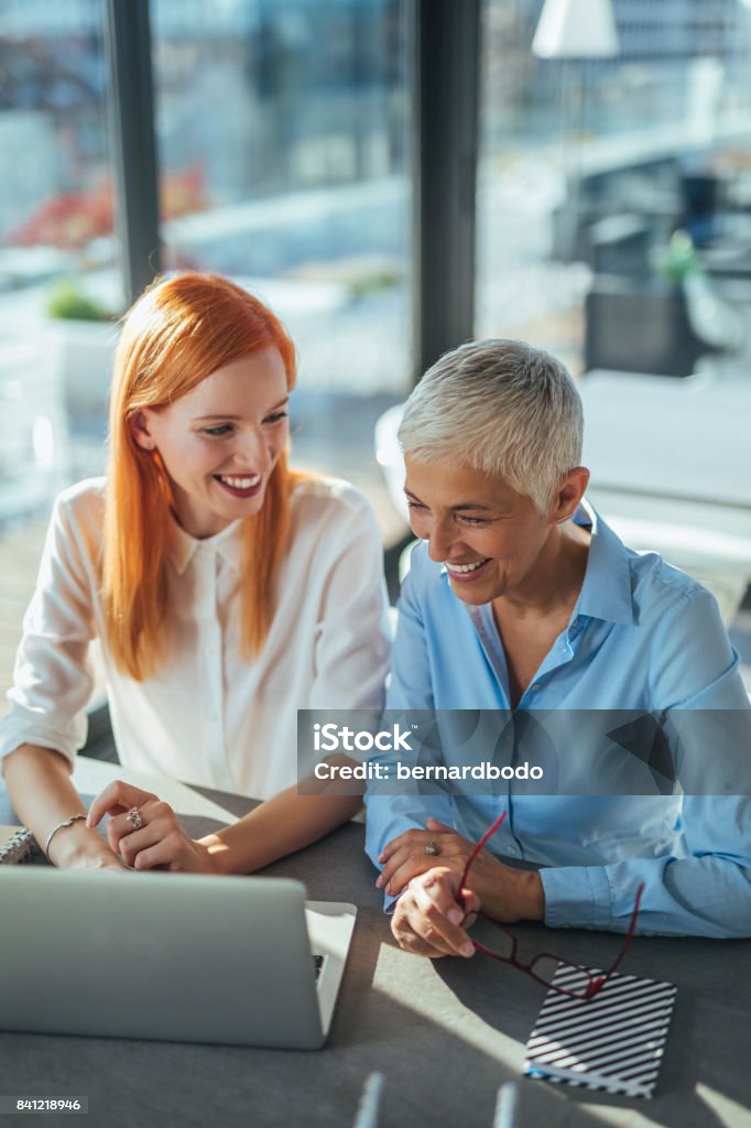 We can do it alone Two businesswomen working together on a computer in the office. Businesswoman Stock Photo