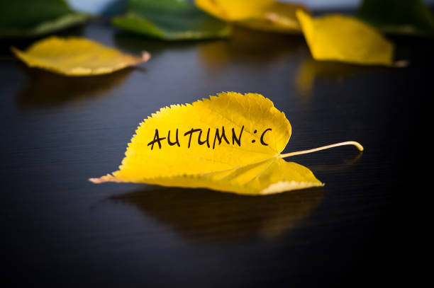 inscription autumn on the yellow fallen leaf on wooden background of autumn concept. Golden autumn.