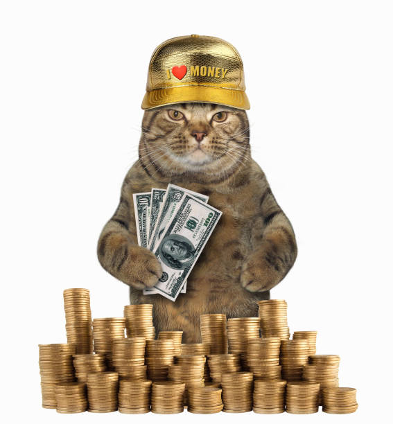 kot i jego pieniądze - money cat zdjęcia i obrazy z banku zdjęć