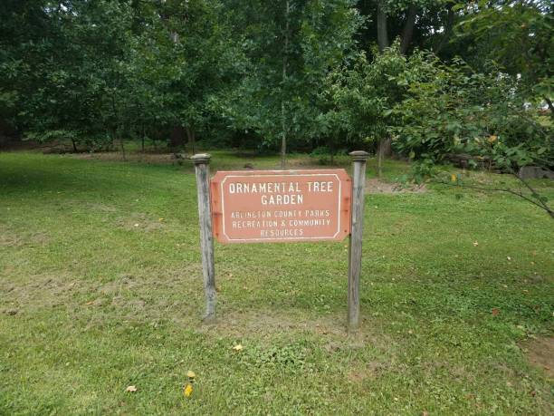 istock ornamental tree garden sign 841225488