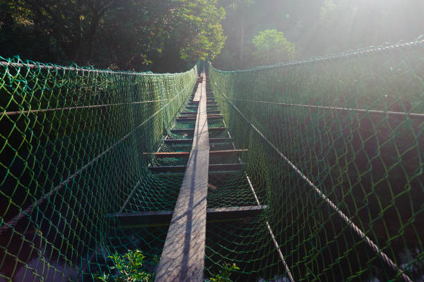 suspension bridge walkway stock photo