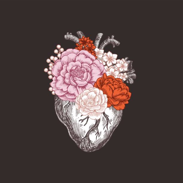 ilustrações, clipart, desenhos animados e ícones de tatuagem ilustração vintage de anatomia. coração anatômico floral. ilustração vetorial - jovem no coração
