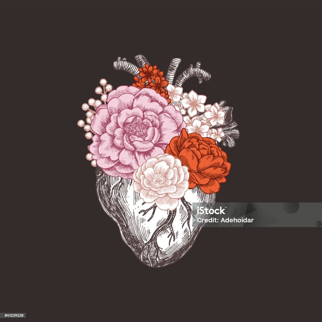 Tattoo anatomy vintage illustration. Floral anatomical heart. Vector illustration Vector illustration Heart - Internal Organ stock vector