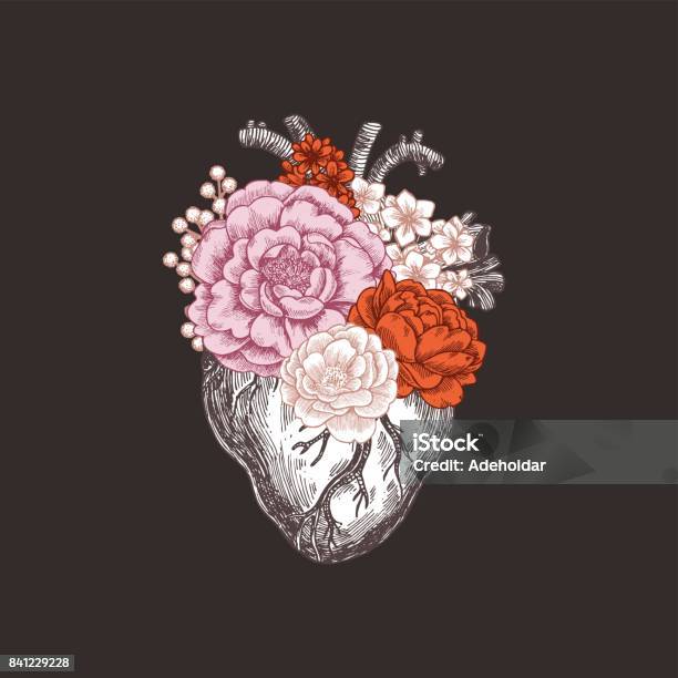 Tattoo Anatomy Vintage Illustration Floral Anatomical Heart Vector Illustration Stock Illustration - Download Image Now