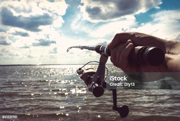 手にする漁師の手 - 1人のストックフォトや画像を多数ご用意 - 1人, アウトフォーカス, クローズアップ
