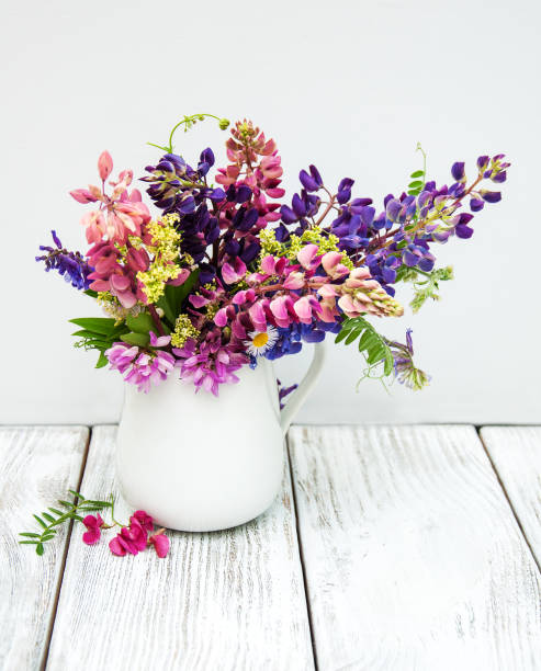 istock lupines in the vase 841234936