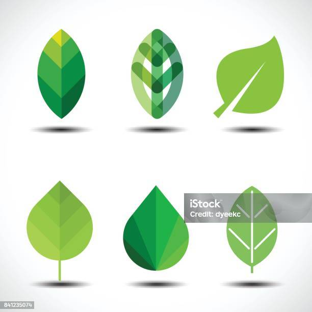 Satz Der Grüne Blätterdesignelemente Stock Vektor Art und mehr Bilder von Blatt - Pflanzenbestandteile - Blatt - Pflanzenbestandteile, Icon, Logo