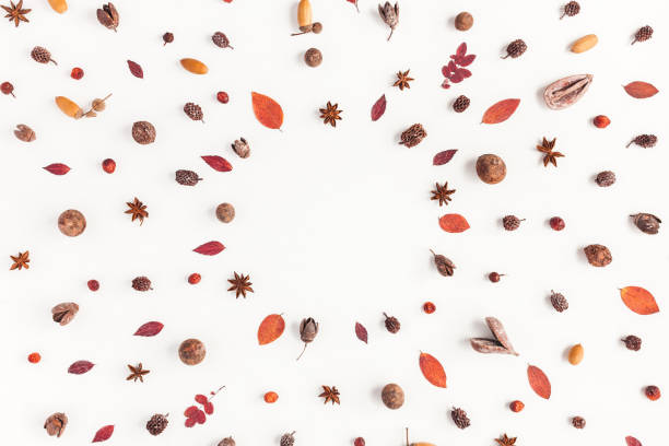 istock Frame made of autumn things. Flat lay, top view 841235282