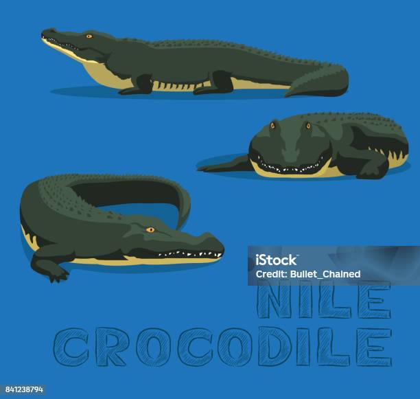 Nile Crocodile Cartoon Vector Illustration Stock Illustration - Download Image Now - Africa, Alligator, Animal