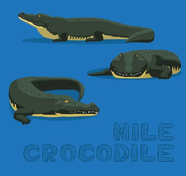 Vector illustration of Nile Crocodile Cartoon Vector Illustration