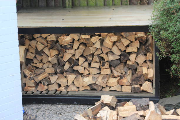 istock Winter store of chopped logs 841241300