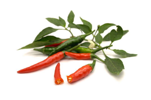 istock Red and Green Chili Isolated. 841241422