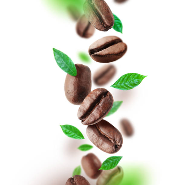 istock Coffee beans and leaves falling from the air 841241696