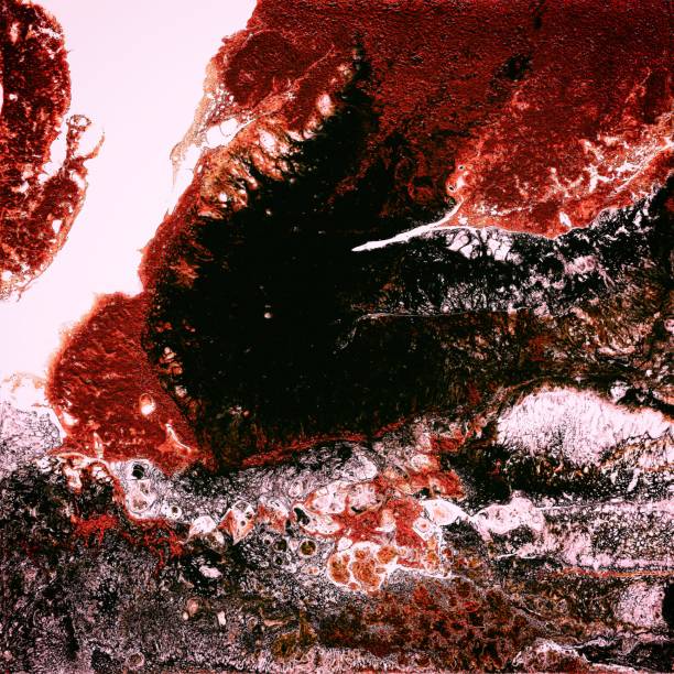 istock Liquid Acrylic paint, liquid artwork, abstract colorful background with colored painted cells, stains. Red colors 841244462