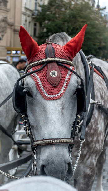 istock Devil Horses of Prague Czech Republic 841245052