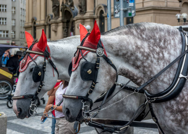 istock Devil Horses of Prague Czech Republic 841245066