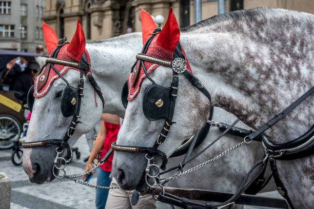 istock Devil Horses of Prague Czech Republic 841245068