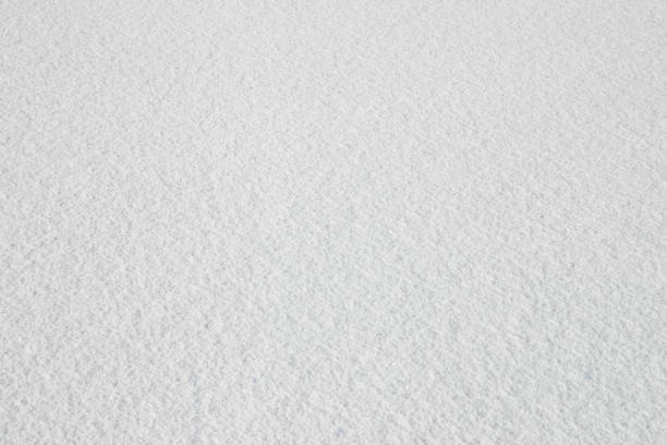 istock Frozen details of snowy landscape 841246096