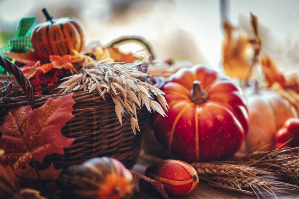 호박, 장식된 창 잎, 견과류 - chestnut pumpkin leaf autumn 뉴스 사진 이미지