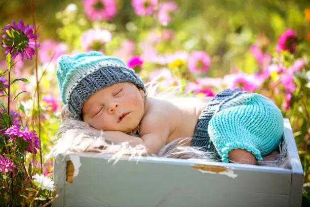 Photo of Cute newborn baby boy, sleeping peacefully in basket in garden