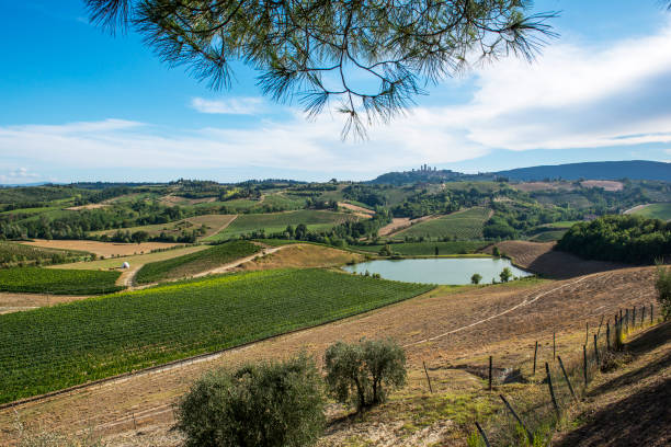istock San Gimignano, Tuscany 841260530