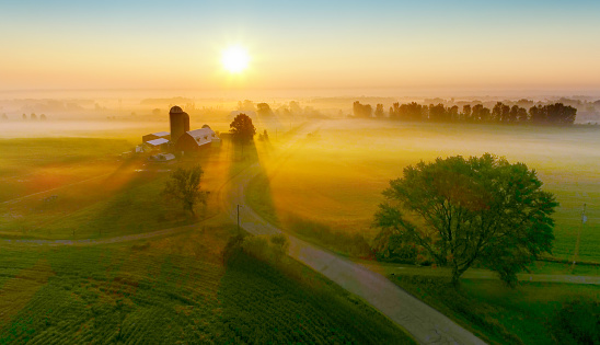 Silos and trees cast long shadows in fog at sunrise, scenic rural landscape, aerial view.