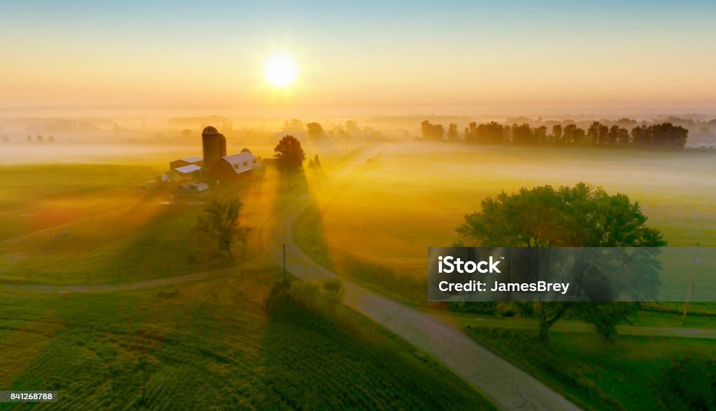 Silos and trees cast long shadows in fog at sunrise. Silos and trees cast long shadows in fog at sunrise, scenic rural landscape, aerial view. Farm Stock Photo