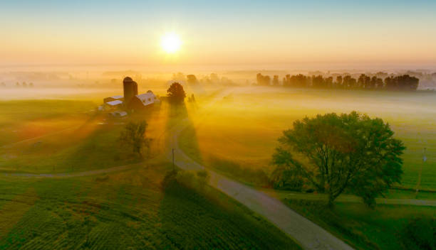 Silos and trees cast long shadows in fog at sunrise. Silos and trees cast long shadows in fog at sunrise, scenic rural landscape, aerial view. spectacular view stock pictures, royalty-free photos & images