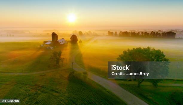 Silos And Trees Cast Long Shadows In Fog At Sunrise Stock Photo - Download Image Now