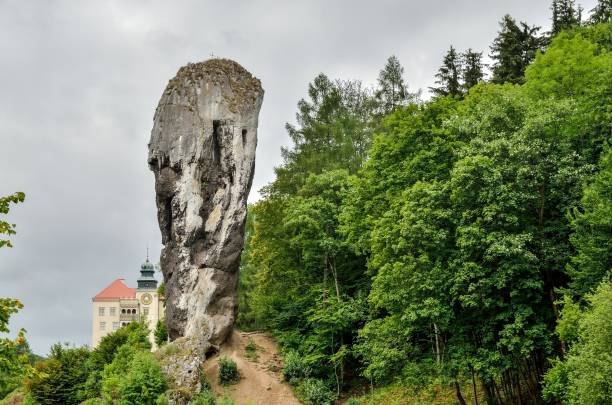 rock antiguo hermoso e histórico castillo. - garrote fotografías e imágenes de stock