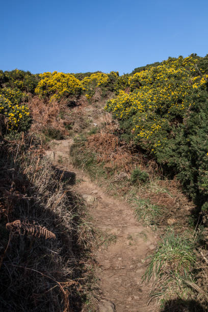 istock Ireland's East coast cliff walk 841272356