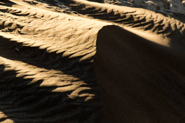 istock Sand in the desert as a background 841279380