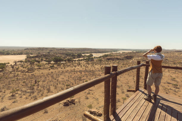 マプングブエ国立公園南アフリカ共和国での旅行先で、観点から双眼鏡でのパノラマを見て観光。 - limpopo province ストックフォトと画像