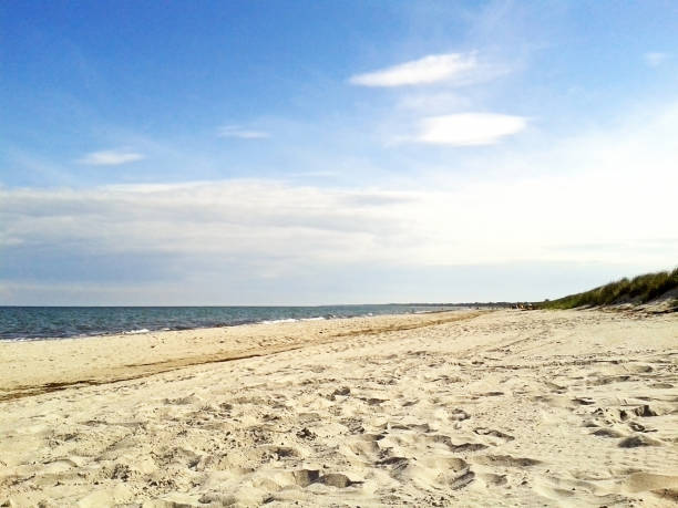 istock beach in Marielyst, Denmark - baltic sea 841292062